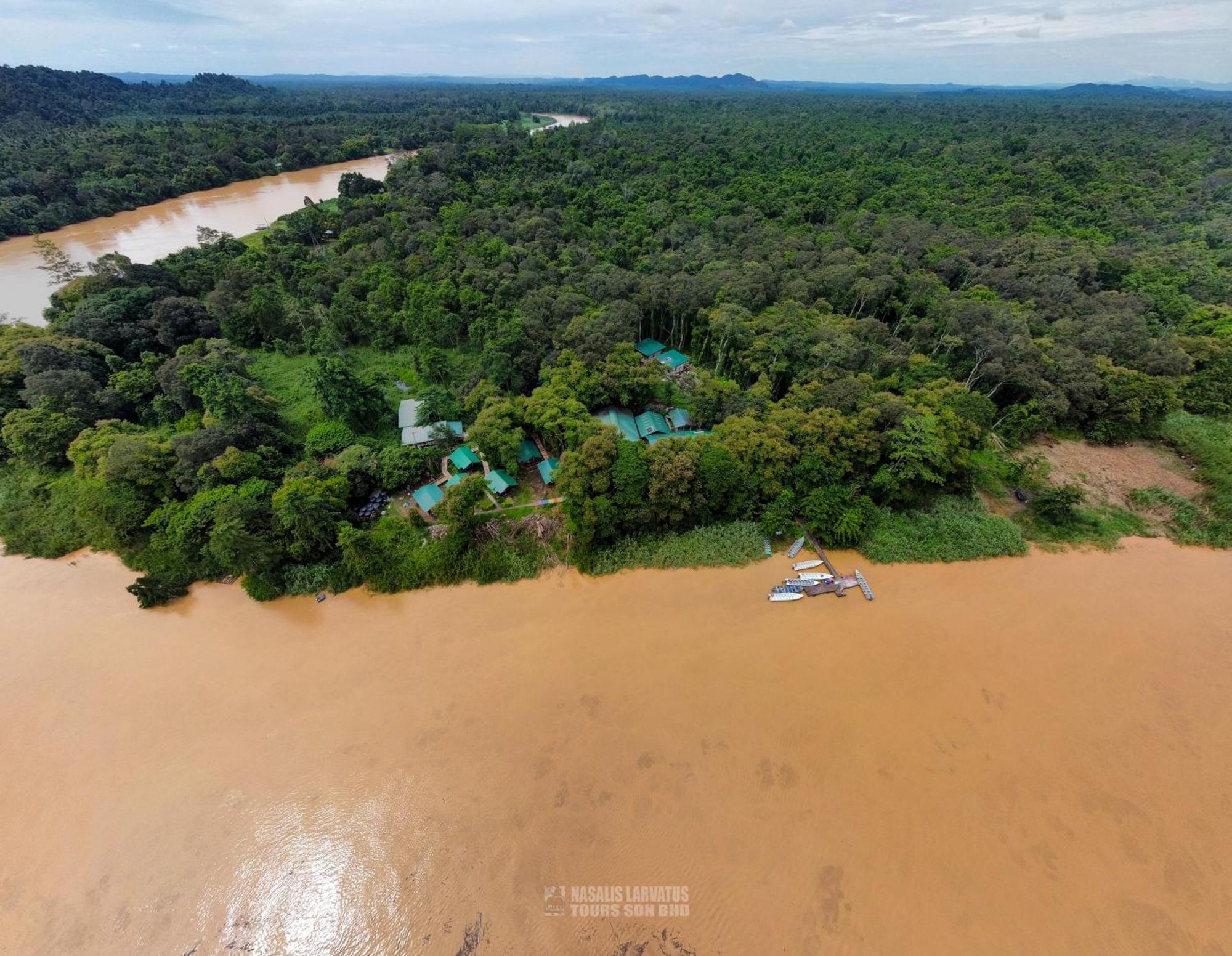 Tanini Kinabatangan Formerly Known As Nature Lodge Kinabatangan Bilit Εξωτερικό φωτογραφία