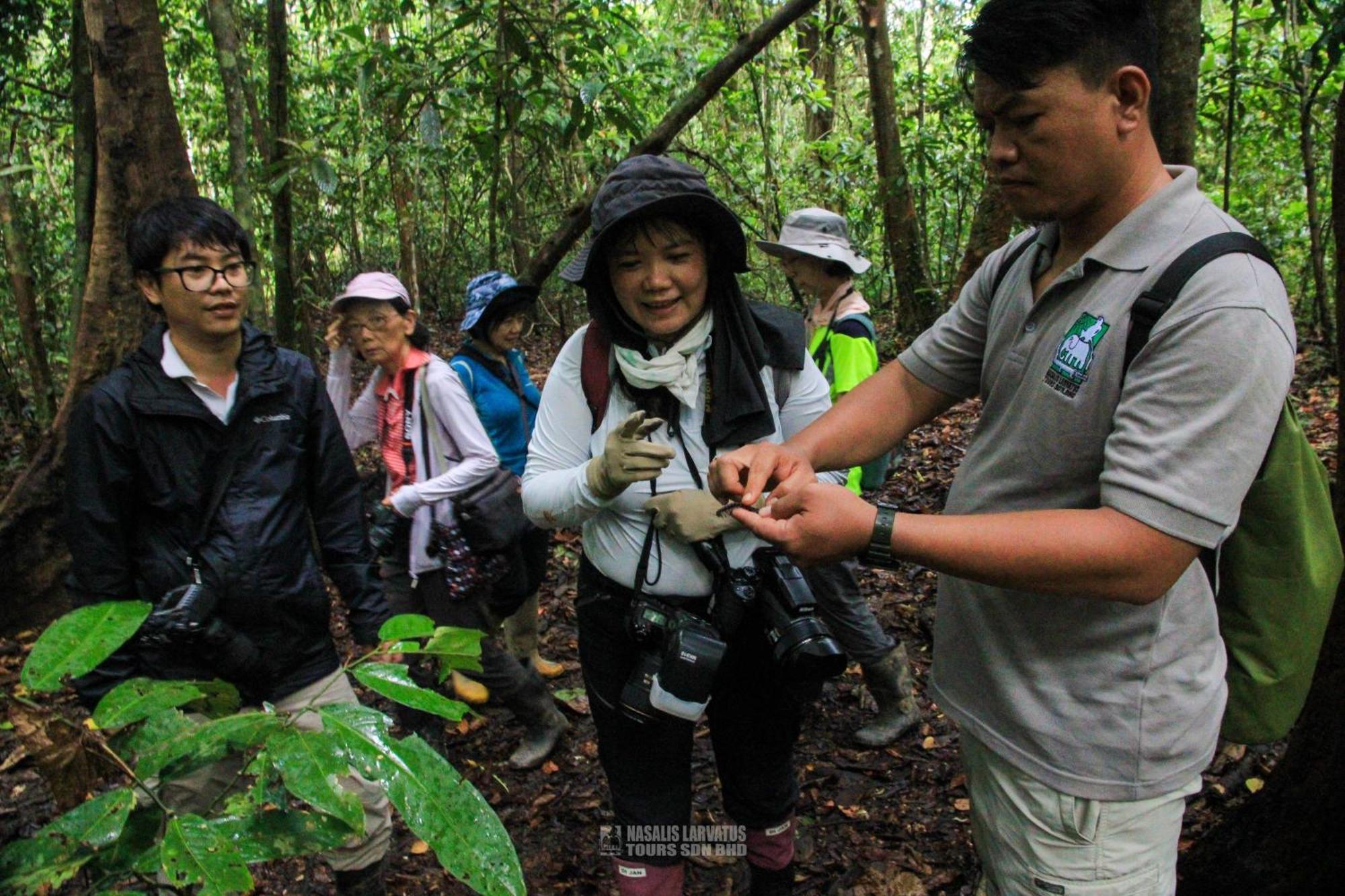 Tanini Kinabatangan Formerly Known As Nature Lodge Kinabatangan Bilit Εξωτερικό φωτογραφία