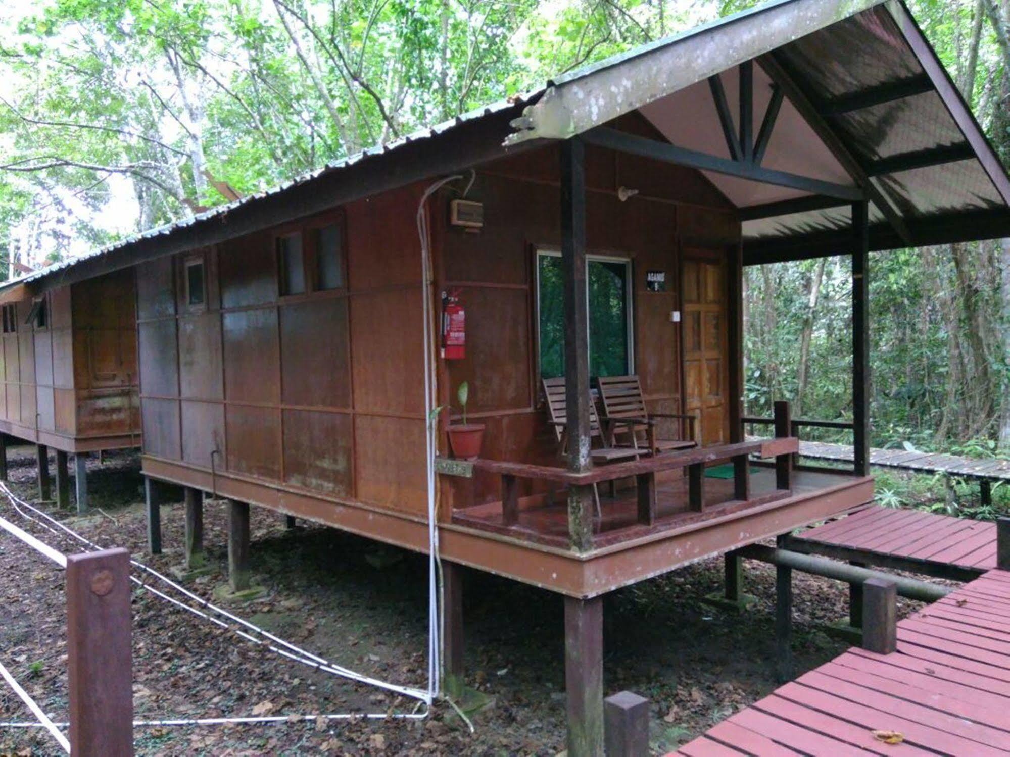 Tanini Kinabatangan Formerly Known As Nature Lodge Kinabatangan Bilit Εξωτερικό φωτογραφία