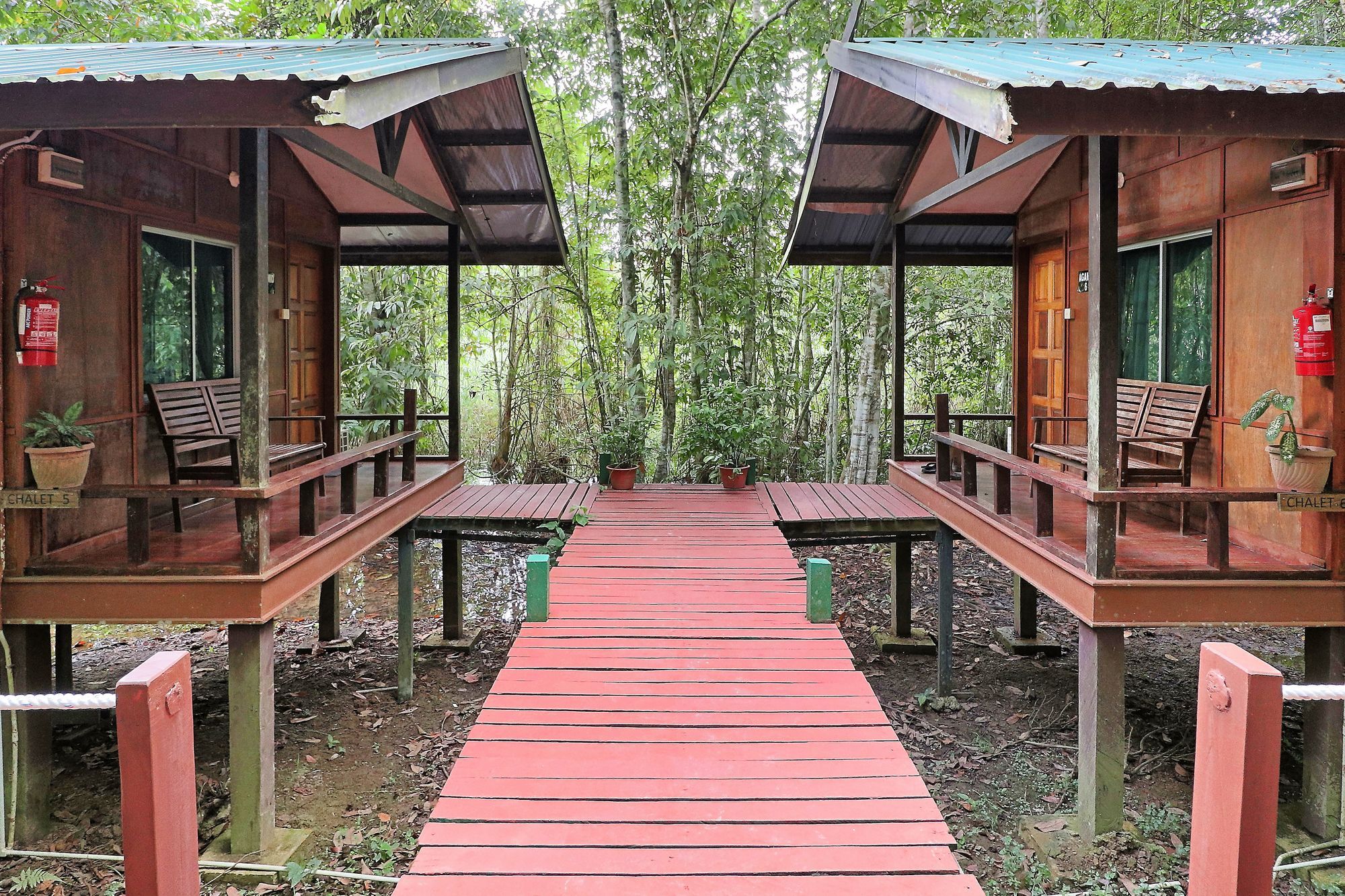 Tanini Kinabatangan Formerly Known As Nature Lodge Kinabatangan Bilit Εξωτερικό φωτογραφία