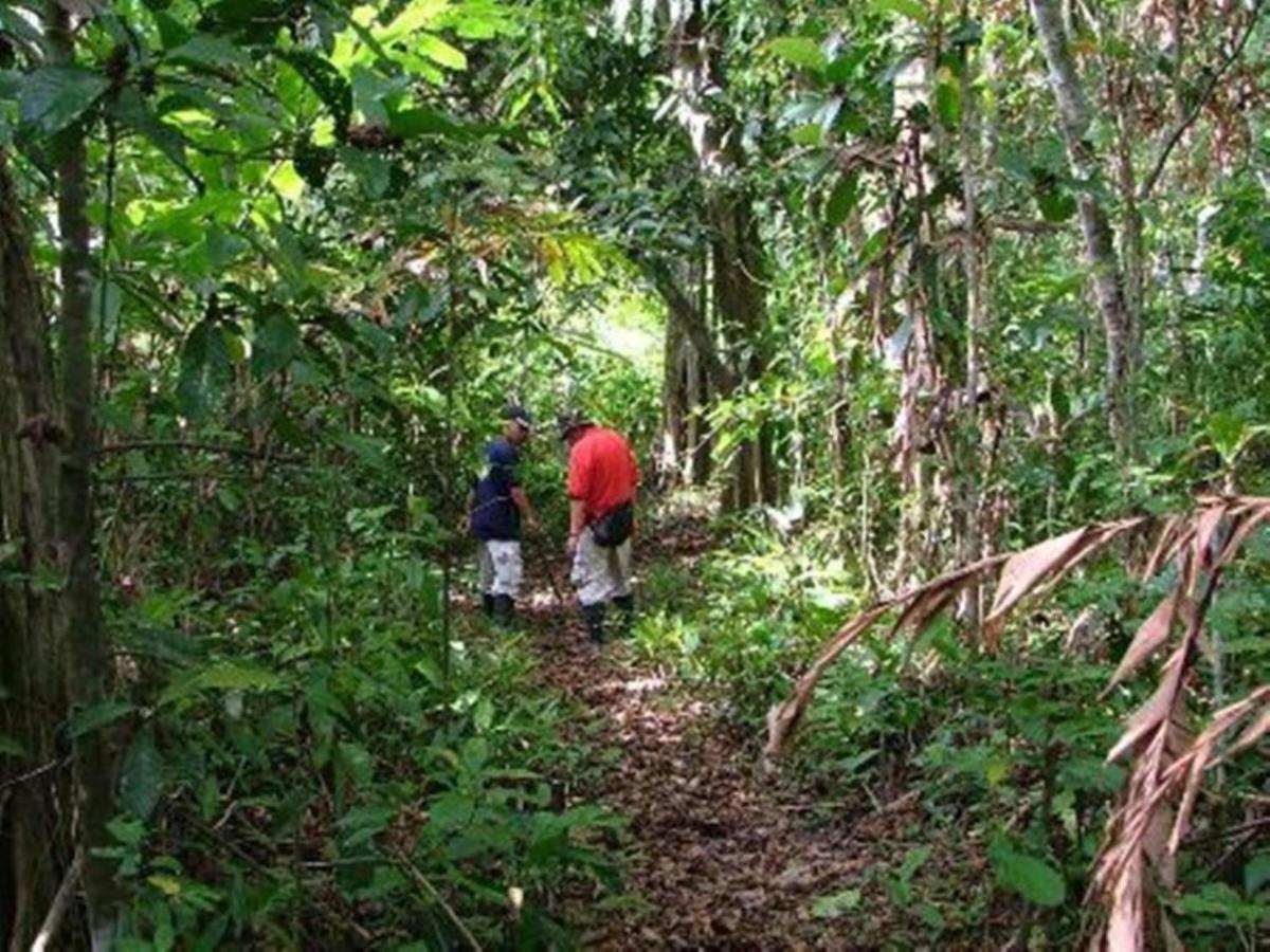 Tanini Kinabatangan Formerly Known As Nature Lodge Kinabatangan Bilit Εξωτερικό φωτογραφία