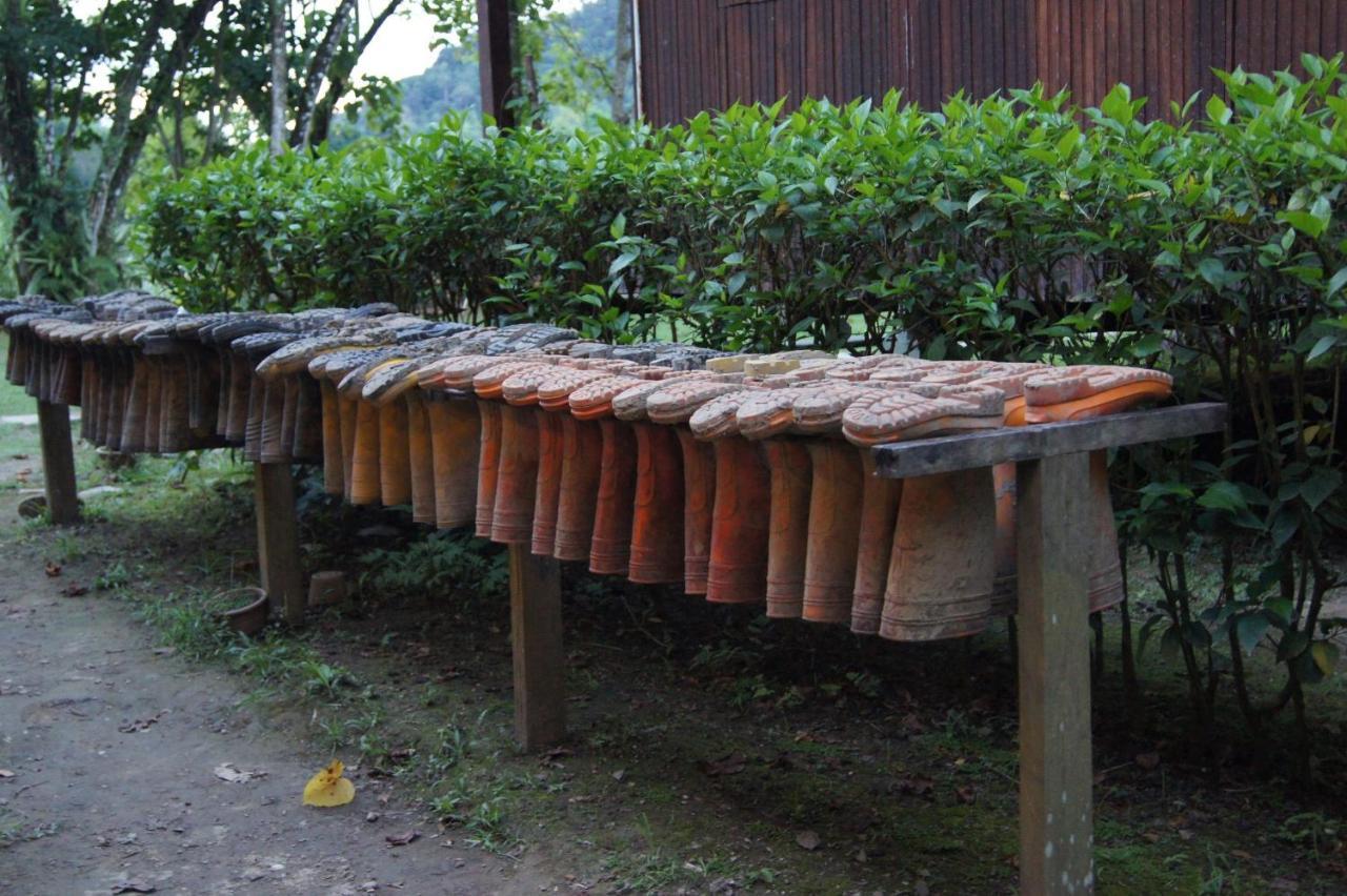 Tanini Kinabatangan Formerly Known As Nature Lodge Kinabatangan Bilit Εξωτερικό φωτογραφία